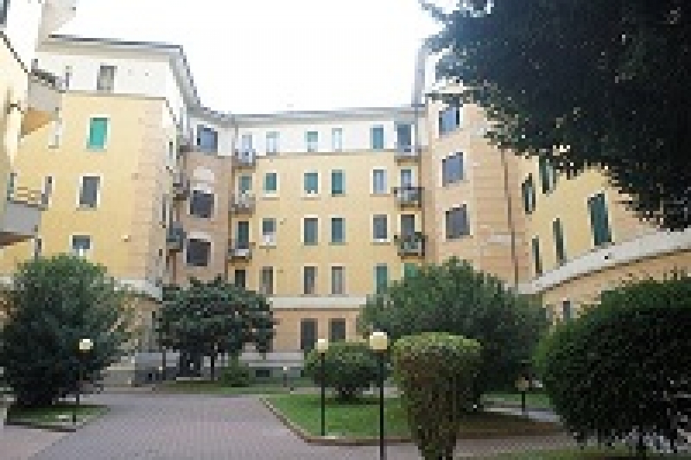 8.JPG